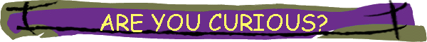 ARE YOU CURIOUS?
